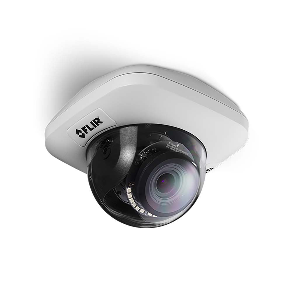 Visible Security Cameras